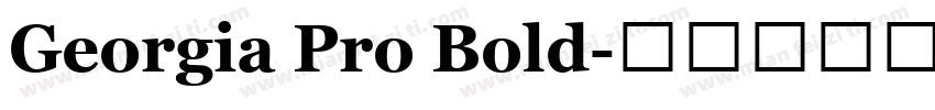 Georgia Pro Bold字体转换